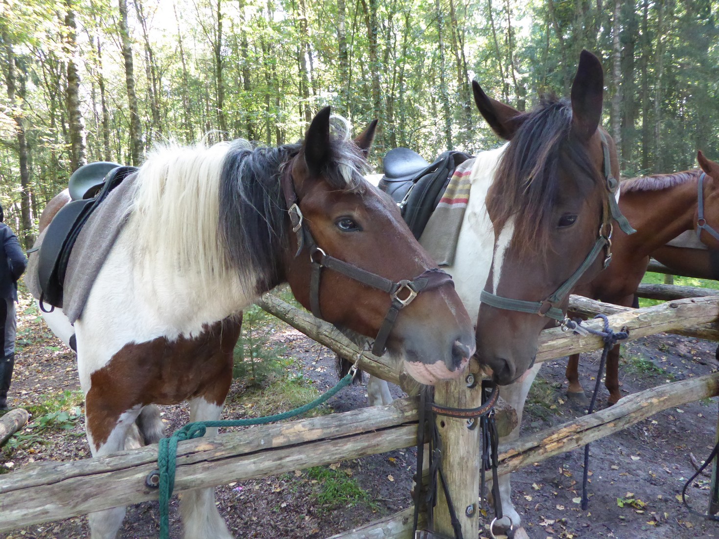 Buinen21