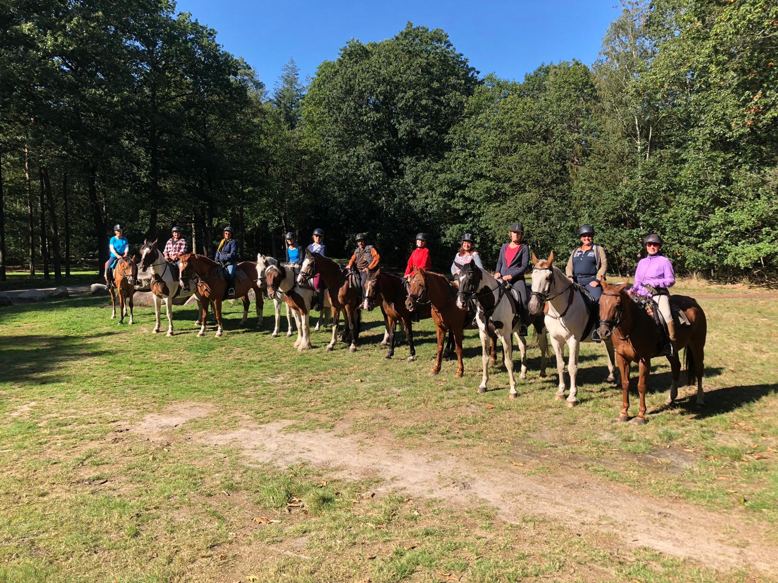 Buinen4