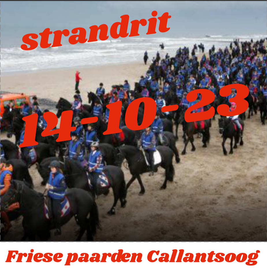 Friese strandrit 2
