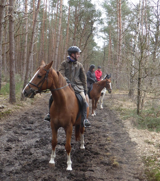 Zeist01