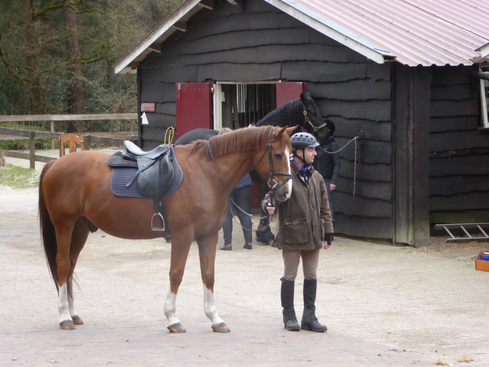 Zeisterbos02