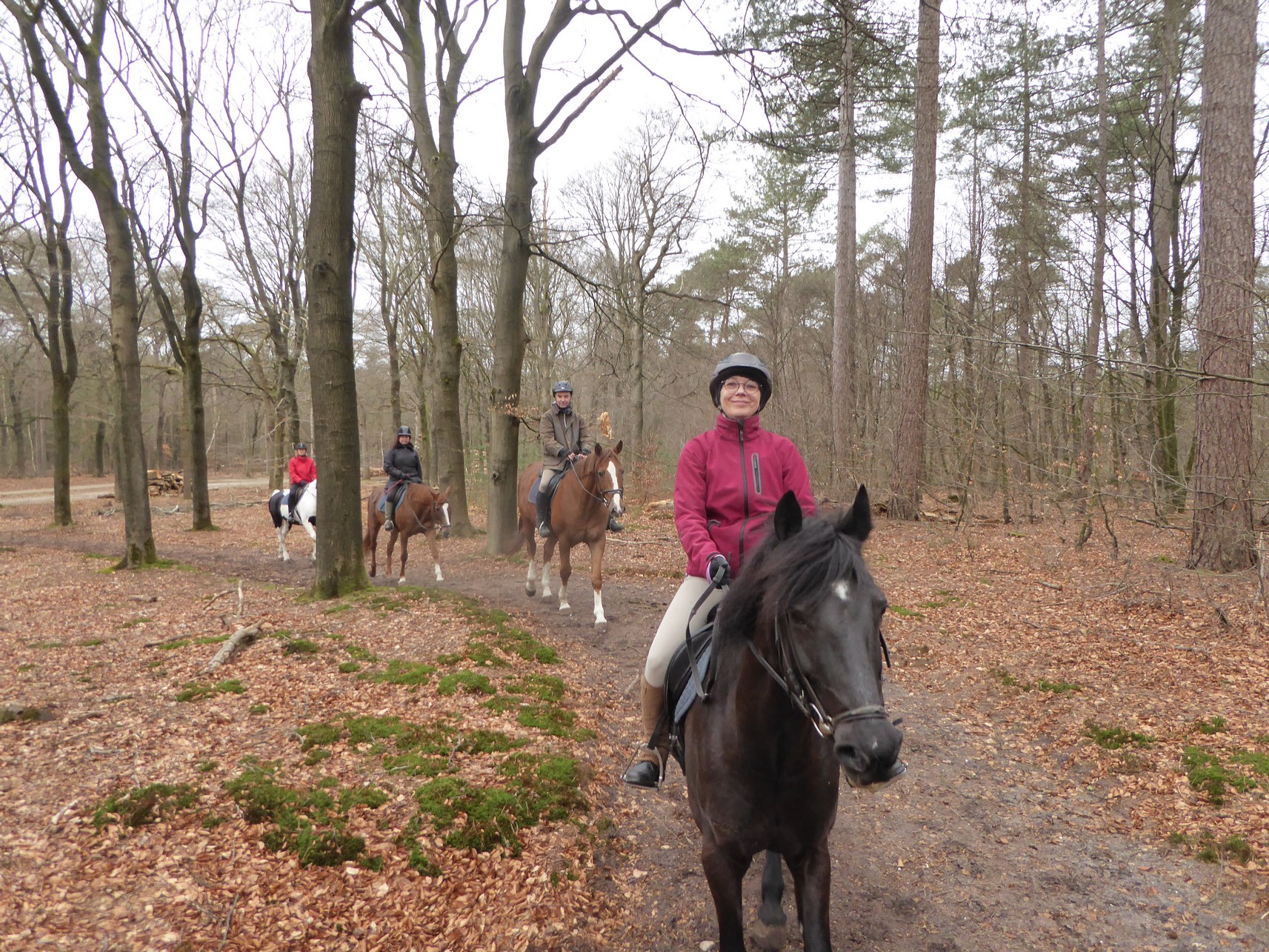 Zeisterbos05