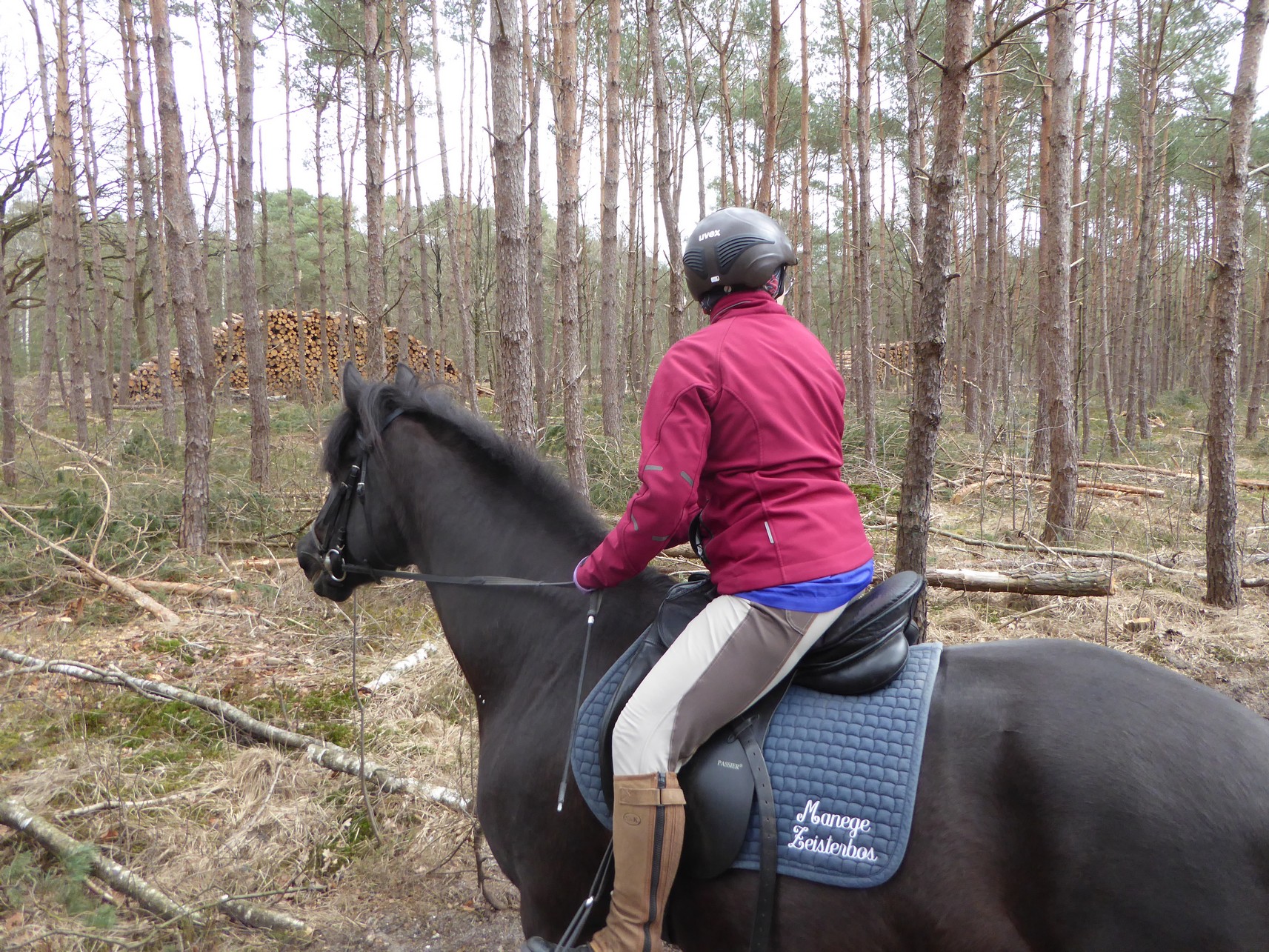 Zeisterbos06
